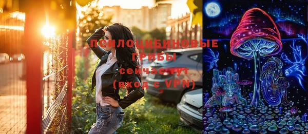 молекула духа Медвежьегорск