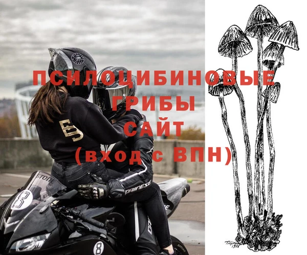 молекула духа Медвежьегорск
