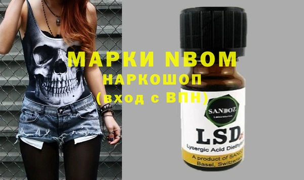 молекула духа Медвежьегорск