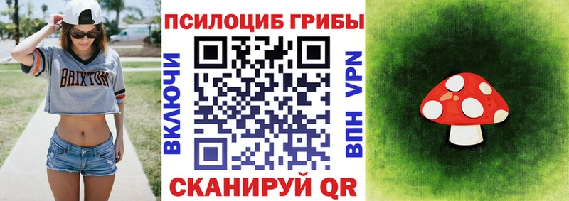 Галлюциногенные грибы мицелий  Купить  Полярный 